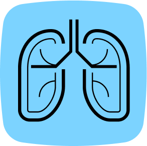 LungCT